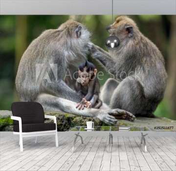 Picture of Monkey family has a rest in the jungle of Ubud